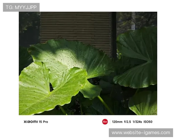 实时HDR转换算法优化,跨设备画质统一性增强